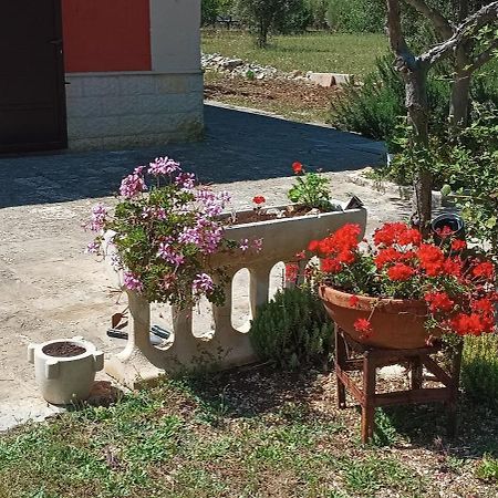 Casa Alle Vigne Polignano a Mare Bagian luar foto