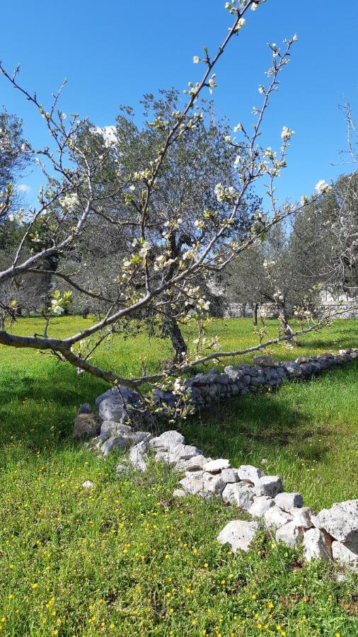 Casa Alle Vigne Polignano a Mare Bagian luar foto
