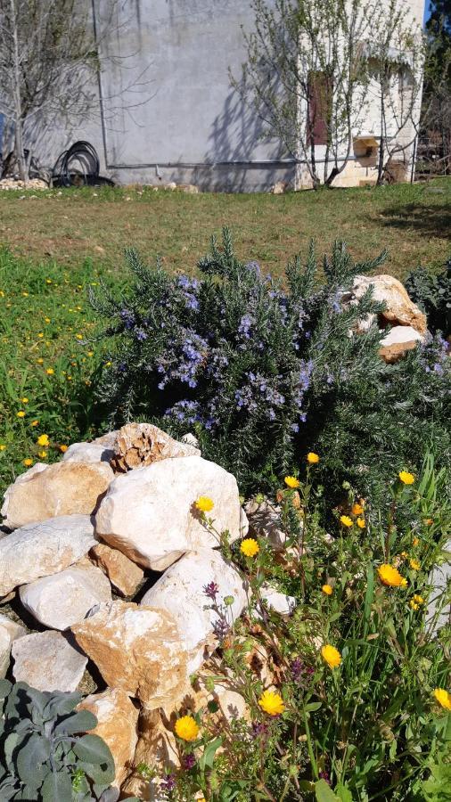 Casa Alle Vigne Polignano a Mare Bagian luar foto