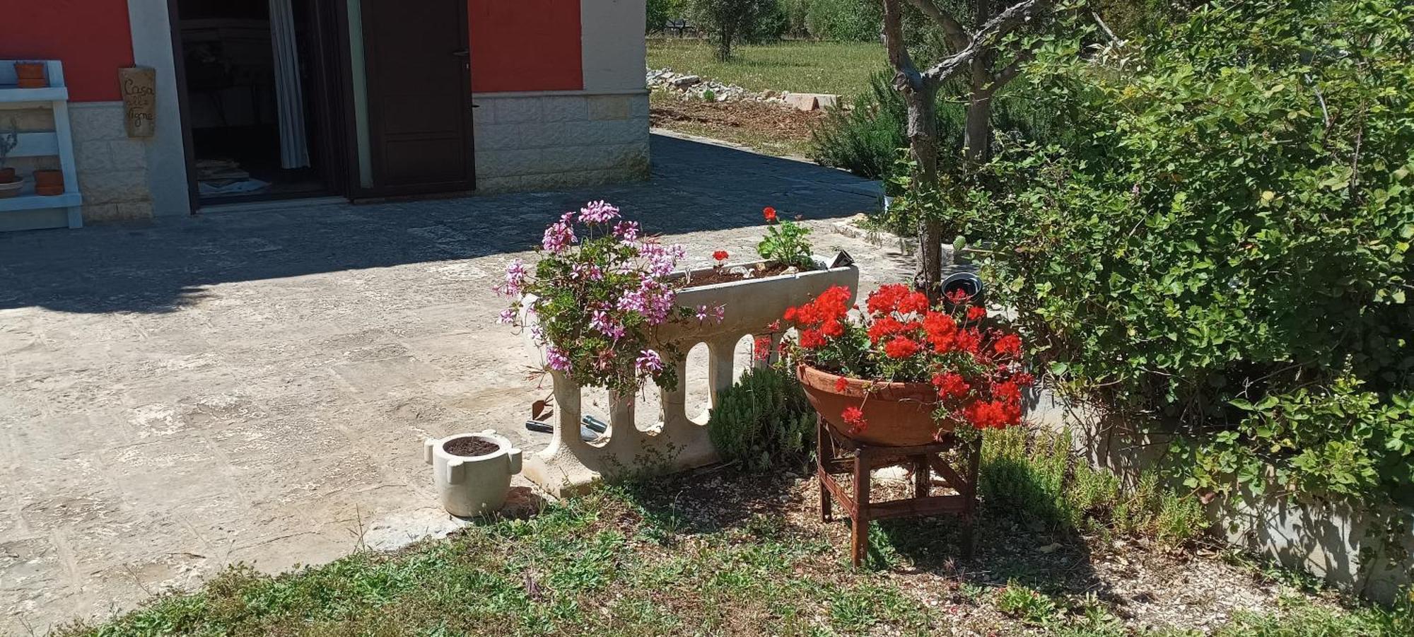 Casa Alle Vigne Polignano a Mare Bagian luar foto