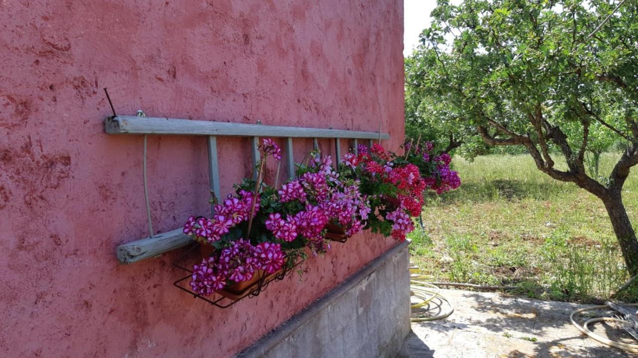 Casa Alle Vigne Polignano a Mare Bagian luar foto